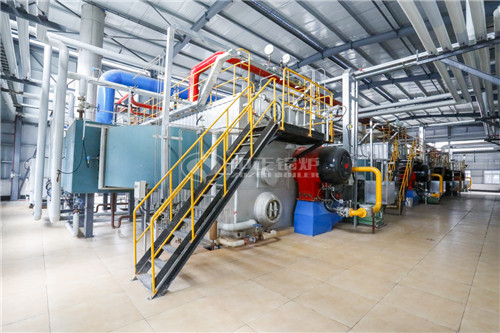 80萬大卡燃生物質(zhì)導熱油鍋爐多少錢能買到