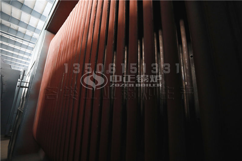 江蘇生物質(zhì)導熱油鍋爐供應 導熱油鍋爐誰家性能好，價格合理?