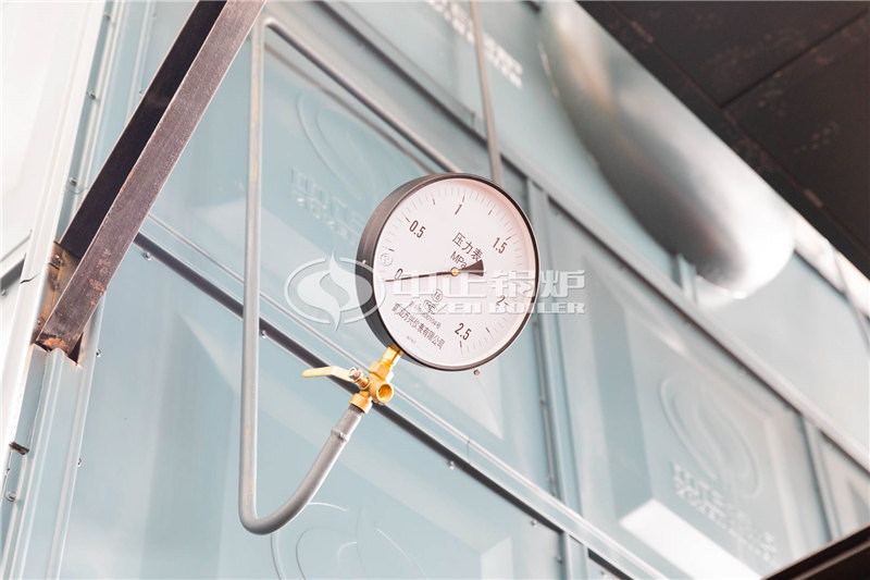 2噸燃生物質(zhì)導(dǎo)熱油爐制造廠(chǎng)